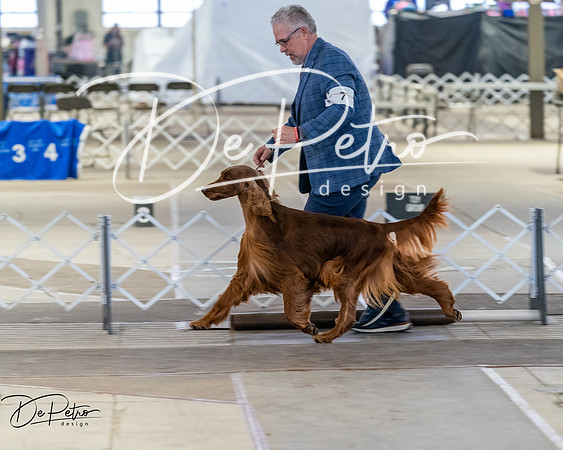 20260328-DSC07941