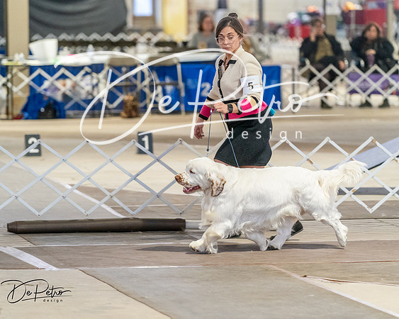 20260328-DSC07951