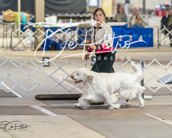 20260328-DSC07955
