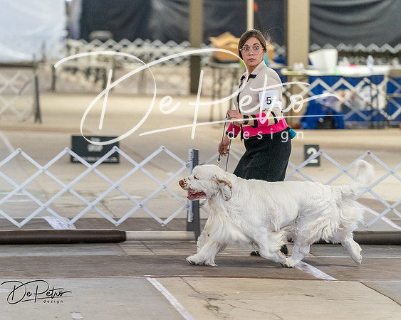 20260328-DSC07964
