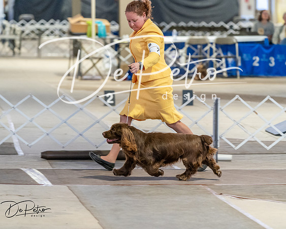 20260328-DSC07977