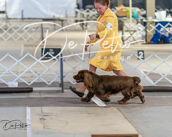 20260328-DSC07984