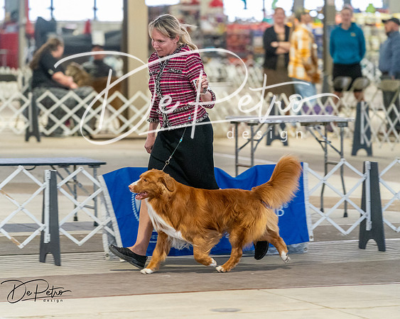 20260328-DSC07990
