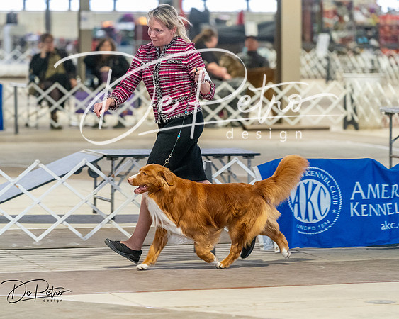 20260328-DSC07997