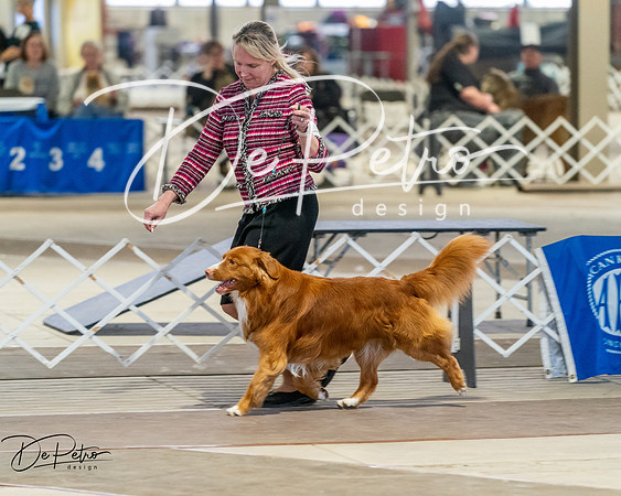 20260328-DSC08001