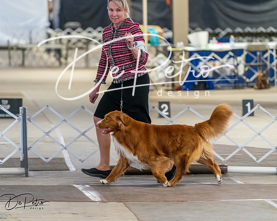20260328-DSC08008