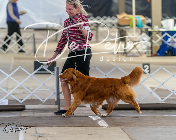 20260328-DSC08012
