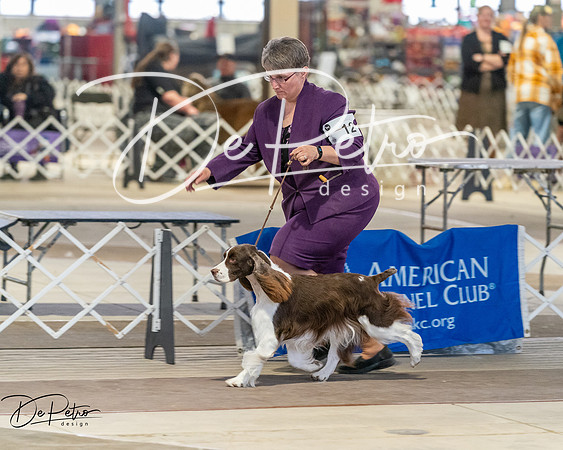 20260328-DSC08021