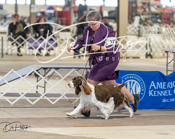 20260328-DSC08024