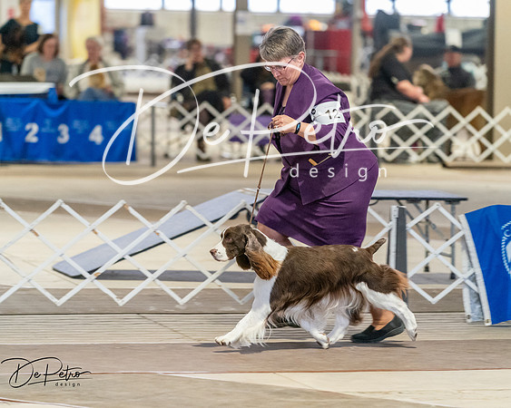 20260328-DSC08028
