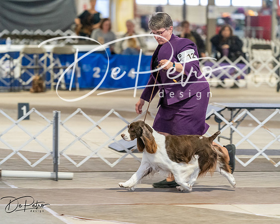 20260328-DSC08032
