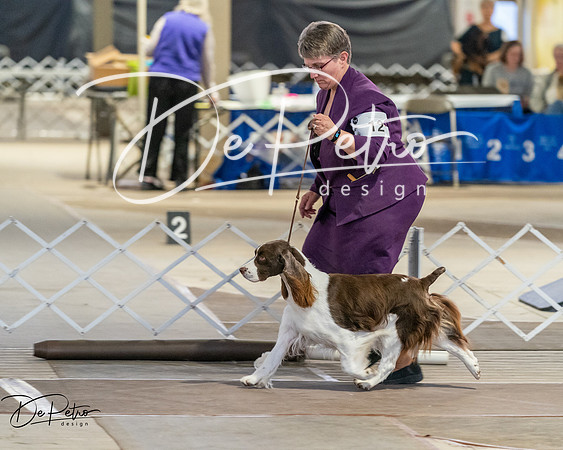 20260328-DSC08040