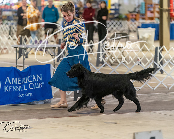 20260328-DSC08056