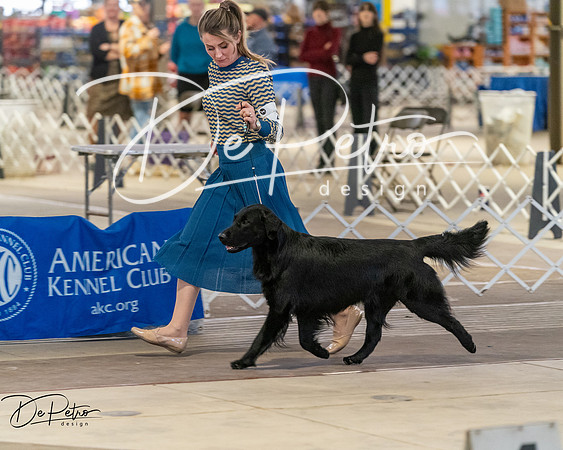 20260328-DSC08057