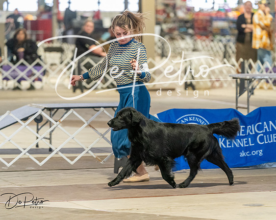 20260328-DSC08060