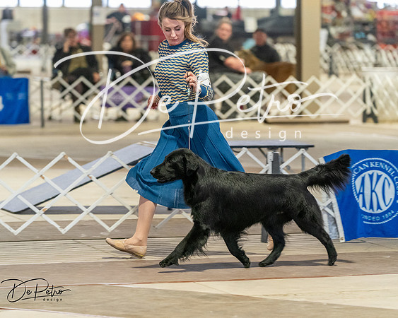 20260328-DSC08064