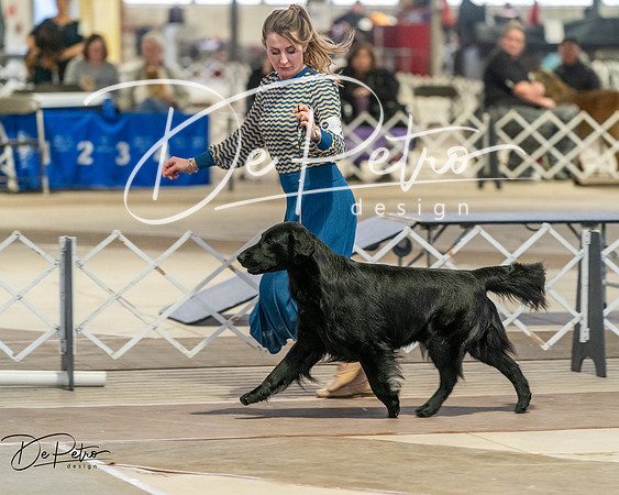 20260328-DSC08068