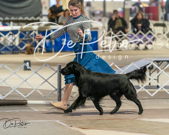 20260328-DSC08072