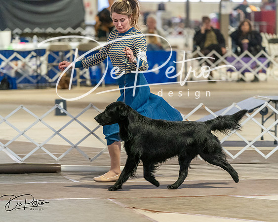 20260328-DSC08073
