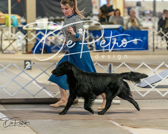 20260328-DSC08077