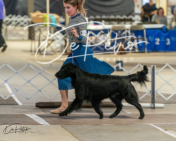 20260328-DSC08080