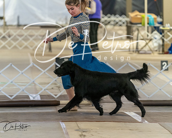 20260328-DSC08088