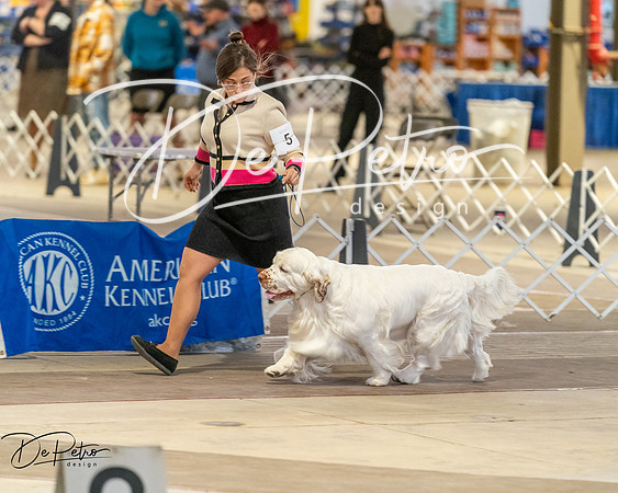 20260328-DSC08107