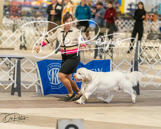 20260328-DSC08112