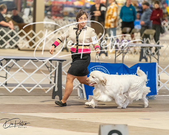 20260328-DSC08116