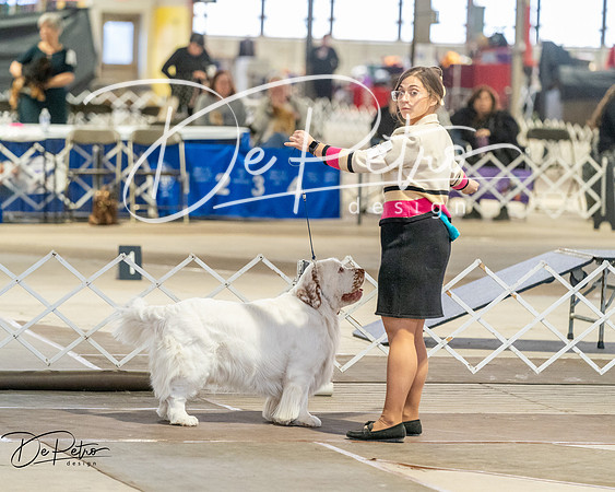 20260328-DSC08126