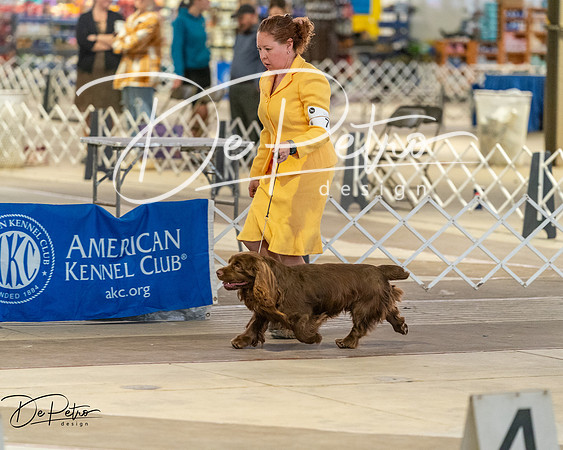20260328-DSC08130