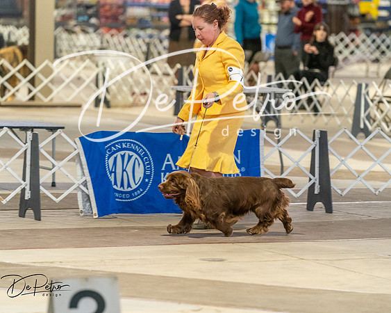 20260328-DSC08137