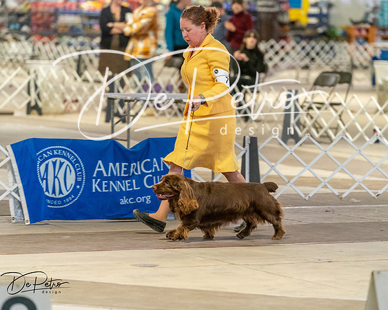 20260328-DSC08133