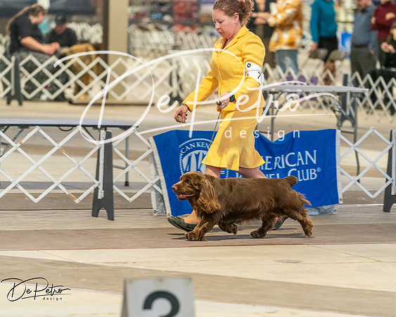 20260328-DSC08141