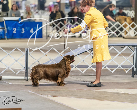 20260328-DSC08145
