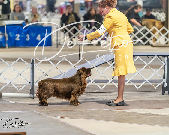 20260328-DSC08146