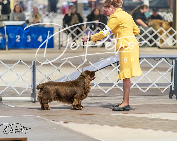 20260328-DSC08147