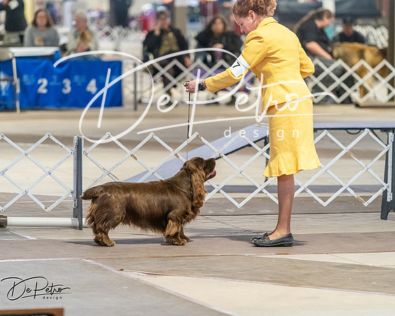 20260328-DSC08148