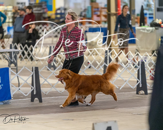 20260328-DSC08153