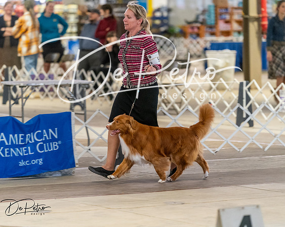 20260328-DSC08156