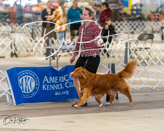20260328-DSC08160