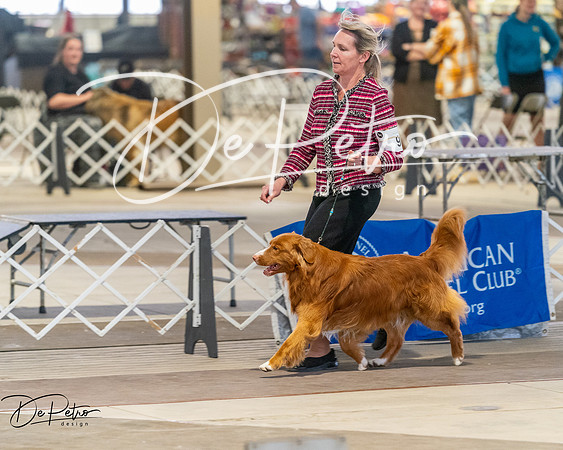 20260328-DSC08168