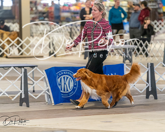 20260328-DSC08164