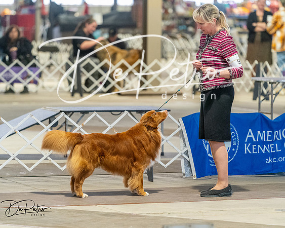 20260328-DSC08177