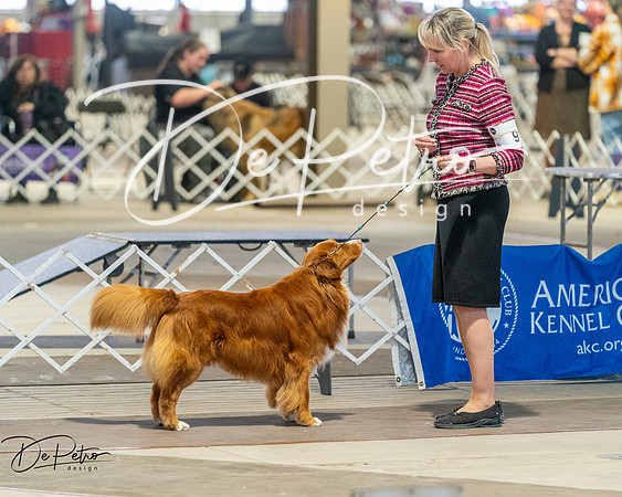 20260328-DSC08178
