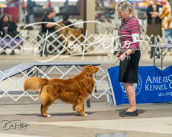 20260328-DSC08181