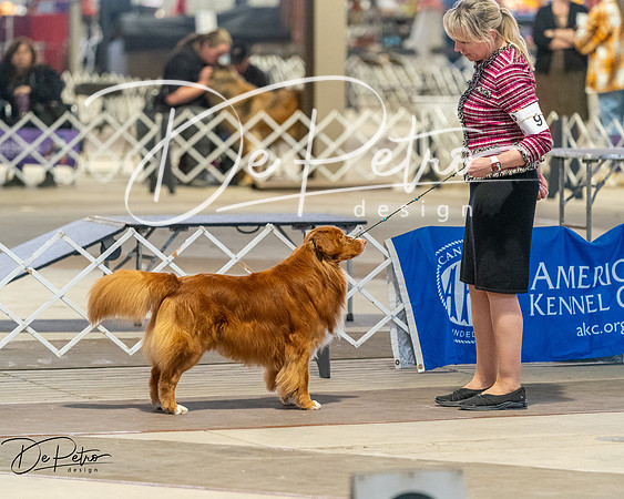 20260328-DSC08182