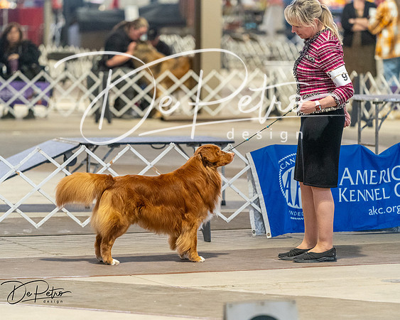 20260328-DSC08183