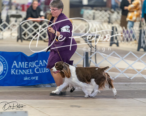 20260328-DSC08195