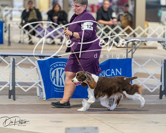 20260328-DSC08200